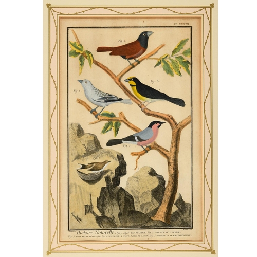 486 - FRANCOIS NICOLAS MARTINET (1731-1800). After. HISTOIRE NATURELLE DES OISEAUX (pls. 32, 33, 34, 39, 4... 