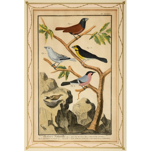 486 - FRANCOIS NICOLAS MARTINET (1731-1800). After. HISTOIRE NATURELLE DES OISEAUX (pls. 32, 33, 34, 39, 4... 