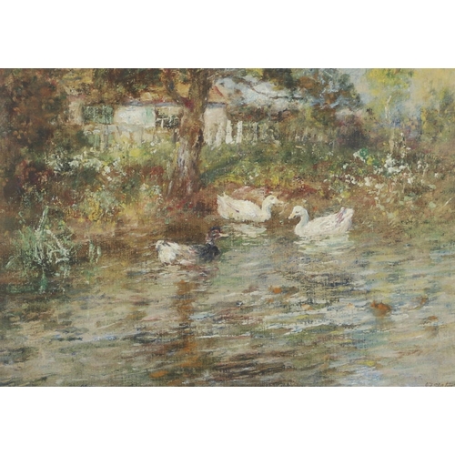 496 - JOHN FALCONAR SLATER (1857-1937). DUCKS ON A POND. Signed, watercolour and bodycolour 
24 xc 34cm. *... 