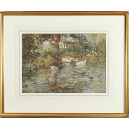 496 - JOHN FALCONAR SLATER (1857-1937). DUCKS ON A POND. Signed, watercolour and bodycolour 
24 xc 34cm. *... 