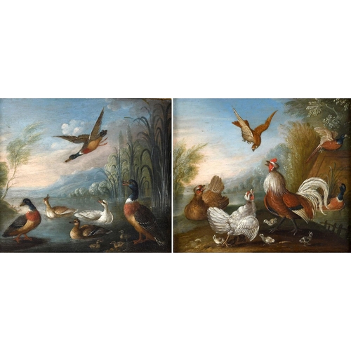 511 - MARMADUKE CRADOCK (1660-1716). Attributed to. POULTRY AND DUCKS. A pair, oil on copper
Each 17 x 19.... 