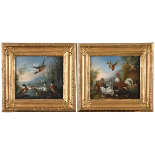 511 - MARMADUKE CRADOCK (1660-1716). Attributed to. POULTRY AND DUCKS. A pair, oil on copper
Each 17 x 19.... 