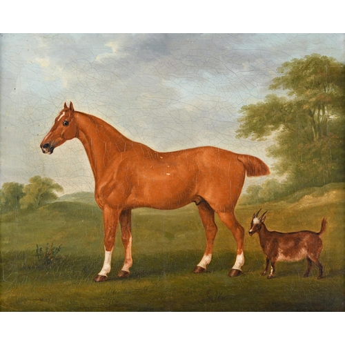 528 - JOHN NOST SARTORIUS (1759-1828). A CHESTNUT HORSE WITH A GOAT IN A FIELD. Signed and dated 1780, oil... 