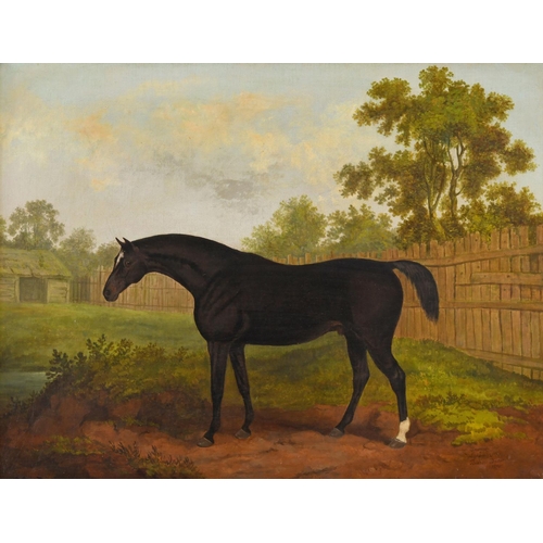 529 - JAMES BARENGER (1780-1831). TRAMP, A DARK BAY HORSE IN A PADDOCK. Inscribed with horse's name, signe... 