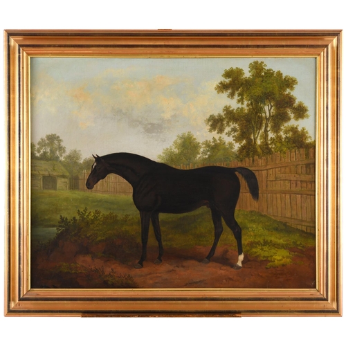 529 - JAMES BARENGER (1780-1831). TRAMP, A DARK BAY HORSE IN A PADDOCK. Inscribed with horse's name, signe... 