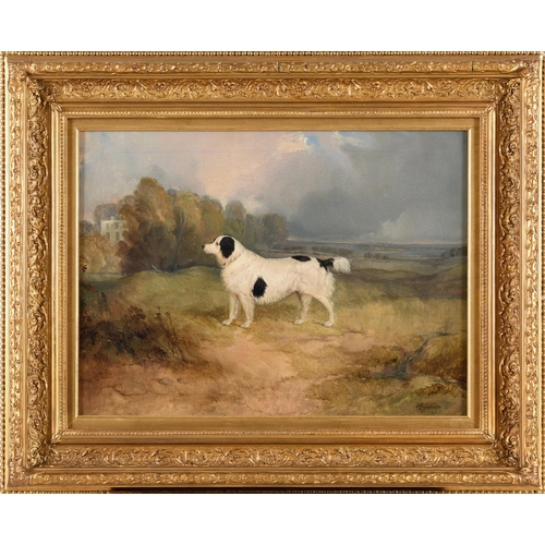 530 - CHARLES B. SPALDING (FL.1832-1875). A `LANDSEER` DOG (NEWFOUNDLAND TYPE) IN A FIELD. Signed, oil on ... 