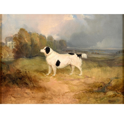 530 - CHARLES B. SPALDING (FL.1832-1875). A `LANDSEER` DOG (NEWFOUNDLAND TYPE) IN A FIELD. Signed, oil on ... 