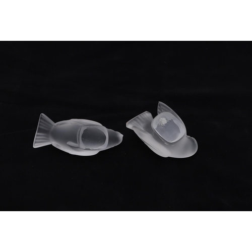 742 - TWO LALIQUE GLASS BIRDS. Two modern frosted glass birds by Lalique, 9.5cms and 8cms high. Both signe... 