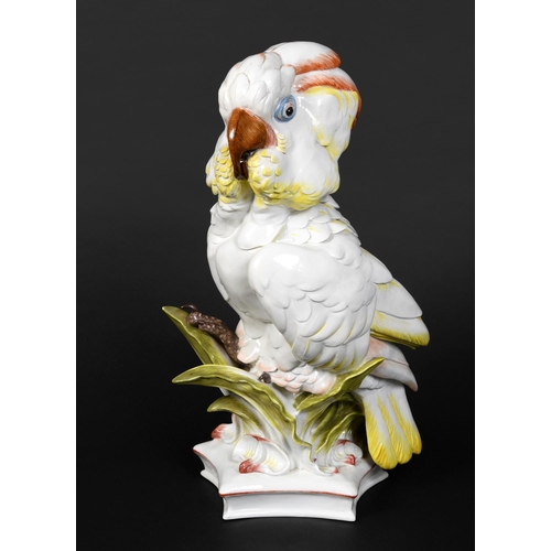 790 - LARGE MEISSEN COCKATOO. 20thc, an unusually large model of a Cockatoo perched amongst foliage, and o... 