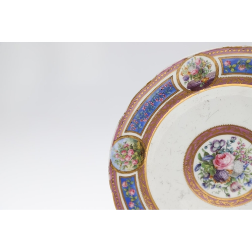 805 - SEVRES PORCELAIN CABINET PLATE - FLOWERS, & SEVRES STYLE BOUGH POT. Possibly late 18thc, the centre ... 