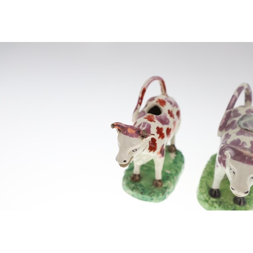 808 - 19THC PEARLWARE COW CREAMERS. Including two similar Cow Creamers with splashes of purple lustre, and... 