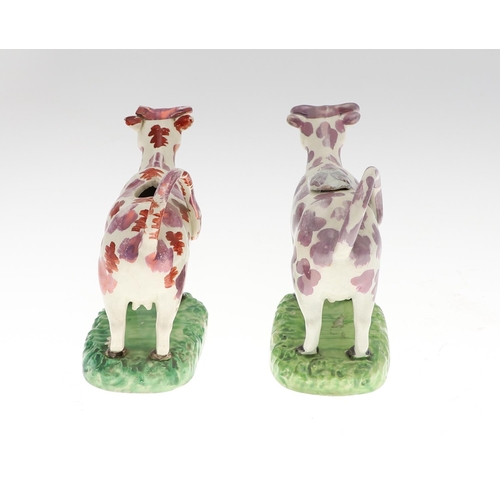 808 - 19THC PEARLWARE COW CREAMERS. Including two similar Cow Creamers with splashes of purple lustre, and... 