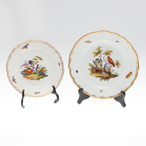 812 - MEISSEN PORCELAIN DISH & ANOTHER DISH- BIRDS. A Meissen dish, the centre painted with birds perched ... 