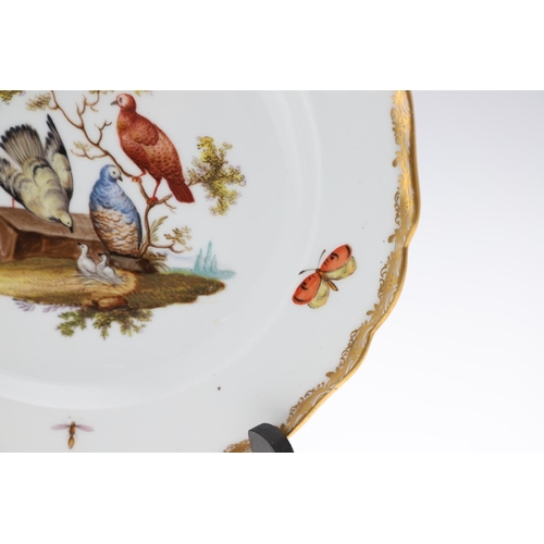 812 - MEISSEN PORCELAIN DISH & ANOTHER DISH- BIRDS. A Meissen dish, the centre painted with birds perched ... 