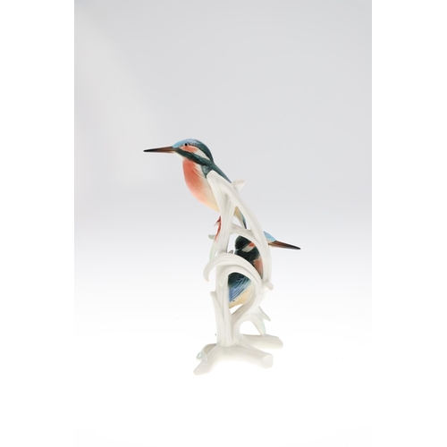 813 - KARL ENS PORCELAIN KINGFISHERS & MEISSEN DACHSCHUND. Including a large model of a pair of Kingfisher... 