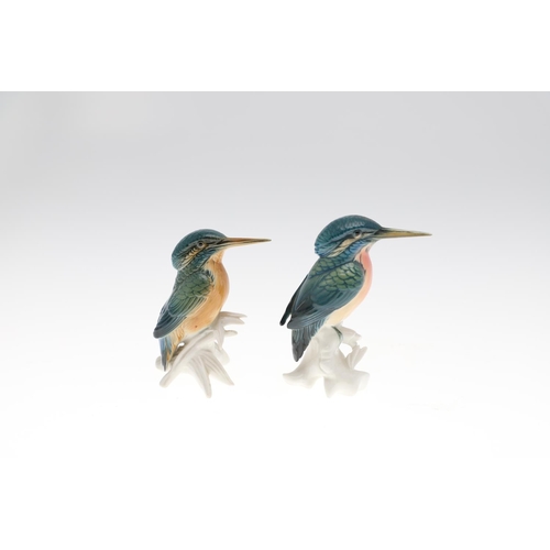 813 - KARL ENS PORCELAIN KINGFISHERS & MEISSEN DACHSCHUND. Including a large model of a pair of Kingfisher... 