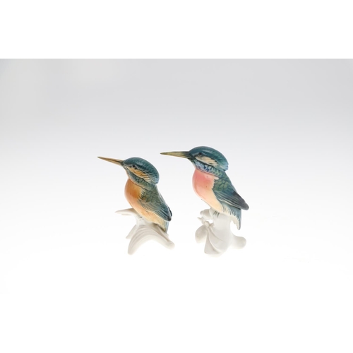 813 - KARL ENS PORCELAIN KINGFISHERS & MEISSEN DACHSCHUND. Including a large model of a pair of Kingfisher... 