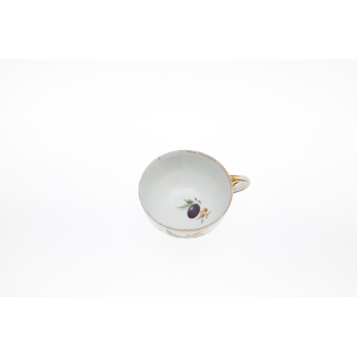 814 - MEISSEN CUP & SAUCER - FRUIT, & SMALL MEISSEN DISH. A late 19thc cup and saucer, painted with fruit,... 