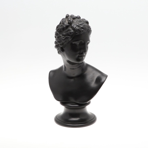 823 - RARE 19THC WEDGWOOD BASALT BUST - VENUS. A 19thc large basalt bust of Venus, raised on a socle base.... 