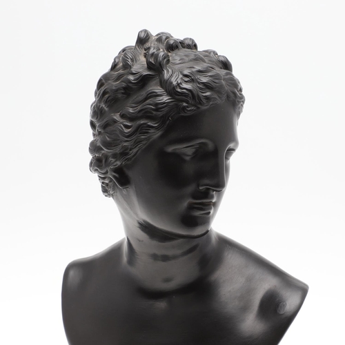 823 - RARE 19THC WEDGWOOD BASALT BUST - VENUS. A 19thc large basalt bust of Venus, raised on a socle base.... 