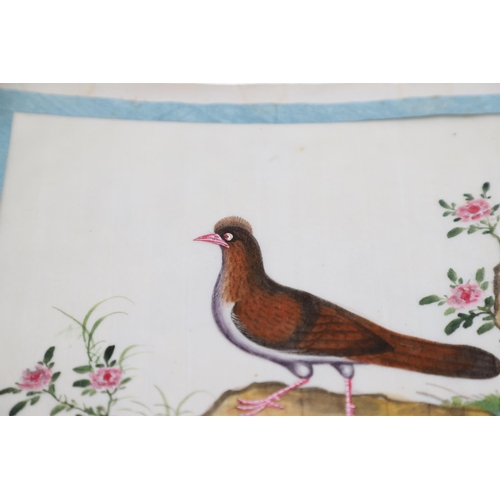 846 - AN ALBUM OF 19THC CHINESE PITH PAINTINGS. An interesting 19thc album with 11 pith paintings, each wi... 