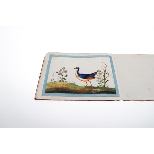 846 - AN ALBUM OF 19THC CHINESE PITH PAINTINGS. An interesting 19thc album with 11 pith paintings, each wi... 