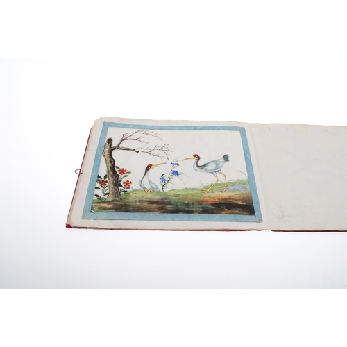 846 - AN ALBUM OF 19THC CHINESE PITH PAINTINGS. An interesting 19thc album with 11 pith paintings, each wi... 