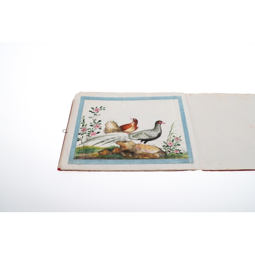 846 - AN ALBUM OF 19THC CHINESE PITH PAINTINGS. An interesting 19thc album with 11 pith paintings, each wi... 