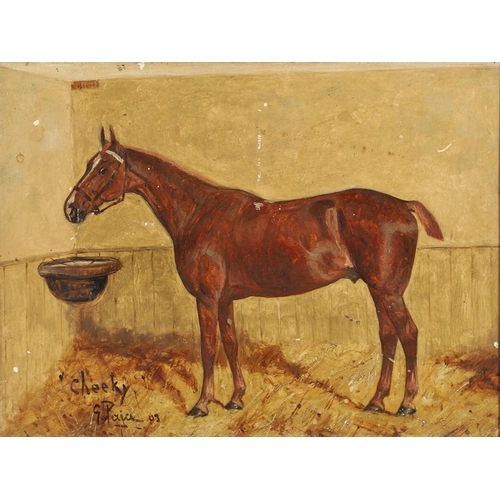 421 - GEORGE PAICE (1854-1925). `CHEEKY`, BY `MARSEILLAISE` OUT OF `SURBITON MARE` (b.1899). Signed, inscr... 