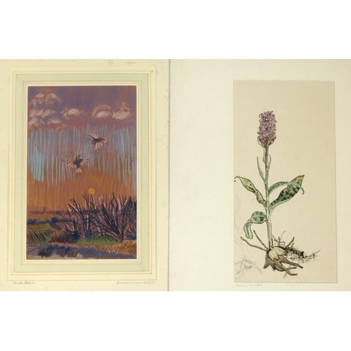 476 - GAVIN BONE (1903-1942). A FOLIO OF ASSORTED SUBJECTS, c.1917-1939. Comprising floral studies, figure... 