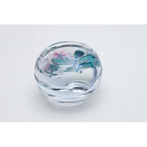 765 - CAITHNESS & WHITEFRIARS GLASS PAPERWEIGHTS - LIMITED EDITION. including Caithness Whitefriars paperw... 