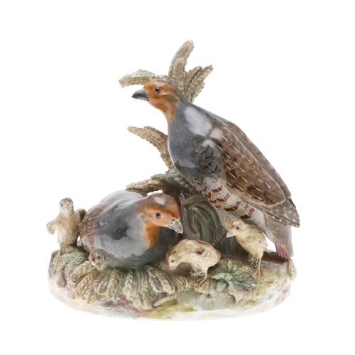 792 - RARE 19THC MEISSEN GROUP OF GREY PARTRIDGES & CHICKS. 19thc, a rare large group of two Adult Grey Pa... 