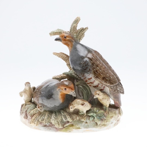 792 - RARE 19THC MEISSEN GROUP OF GREY PARTRIDGES & CHICKS. 19thc, a rare large group of two Adult Grey Pa... 