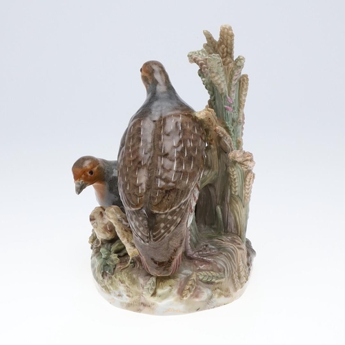 792 - RARE 19THC MEISSEN GROUP OF GREY PARTRIDGES & CHICKS. 19thc, a rare large group of two Adult Grey Pa... 