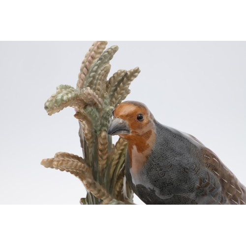 792 - RARE 19THC MEISSEN GROUP OF GREY PARTRIDGES & CHICKS. 19thc, a rare large group of two Adult Grey Pa... 