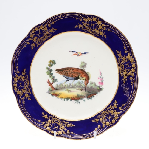 798 - SEVRES STYLE PORCELAIN PLATE - BIRDS. The centre painted with exotic birds within a wooded landscape... 