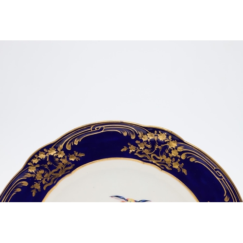 798 - SEVRES STYLE PORCELAIN PLATE - BIRDS. The centre painted with exotic birds within a wooded landscape... 