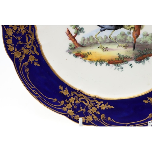 798 - SEVRES STYLE PORCELAIN PLATE - BIRDS. The centre painted with exotic birds within a wooded landscape... 