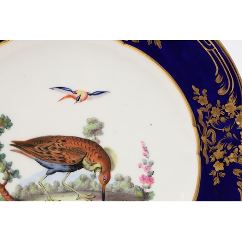 798 - SEVRES STYLE PORCELAIN PLATE - BIRDS. The centre painted with exotic birds within a wooded landscape... 