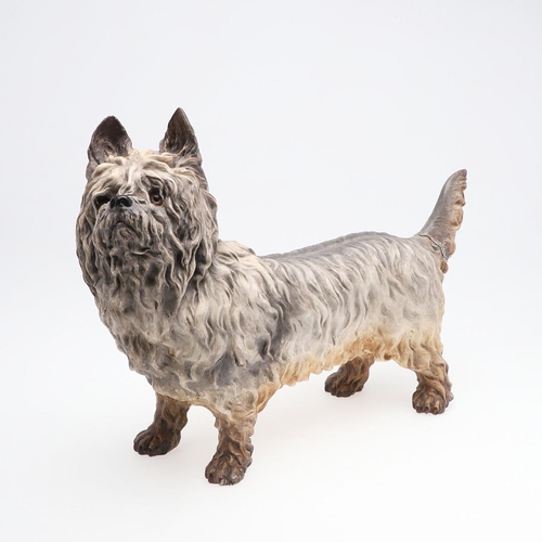 834 - RARE 19THC ROYAL WORCESTER MODEL OF A TERRIER. A rare large model of a Terrier (probably a Scottish ... 