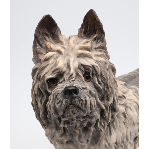 834 - RARE 19THC ROYAL WORCESTER MODEL OF A TERRIER. A rare large model of a Terrier (probably a Scottish ... 