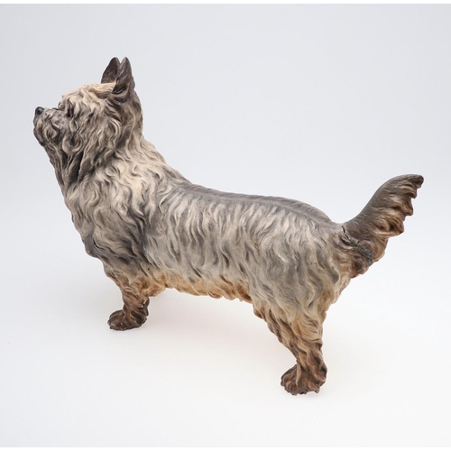 834 - RARE 19THC ROYAL WORCESTER MODEL OF A TERRIER. A rare large model of a Terrier (probably a Scottish ... 