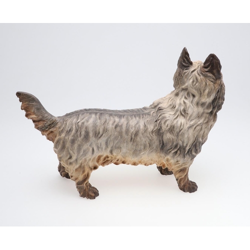 834 - RARE 19THC ROYAL WORCESTER MODEL OF A TERRIER. A rare large model of a Terrier (probably a Scottish ... 