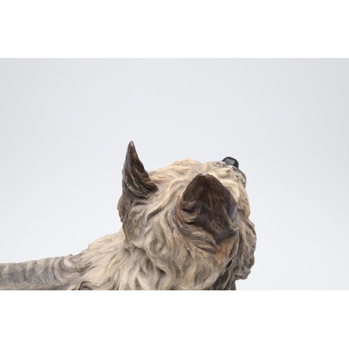 834 - RARE 19THC ROYAL WORCESTER MODEL OF A TERRIER. A rare large model of a Terrier (probably a Scottish ... 