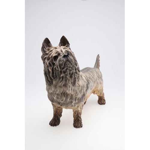 834 - RARE 19THC ROYAL WORCESTER MODEL OF A TERRIER. A rare large model of a Terrier (probably a Scottish ... 