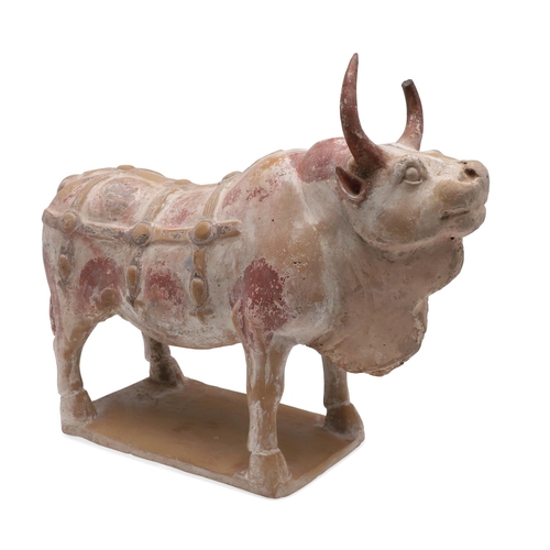 894 - CHINESE PAINTED POTTERY OX - NORTHERN QI DYNASTY (549-577). A large painted pottery model of an Ox, ... 