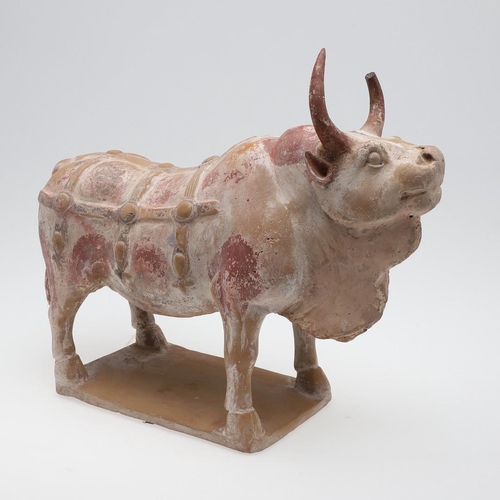 894 - CHINESE PAINTED POTTERY OX - NORTHERN QI DYNASTY (549-577). A large painted pottery model of an Ox, ... 