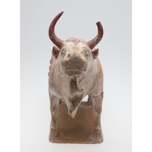 894 - CHINESE PAINTED POTTERY OX - NORTHERN QI DYNASTY (549-577). A large painted pottery model of an Ox, ... 