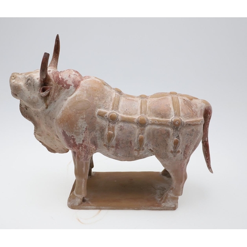 894 - CHINESE PAINTED POTTERY OX - NORTHERN QI DYNASTY (549-577). A large painted pottery model of an Ox, ... 