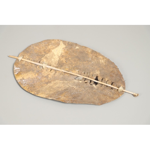 152 - TWO ZULU TYPE COWHIDE SHIELDS AND SIMILAR SPEARS. A Zulu black and whit cowhide shield 66 x 43cm wit... 